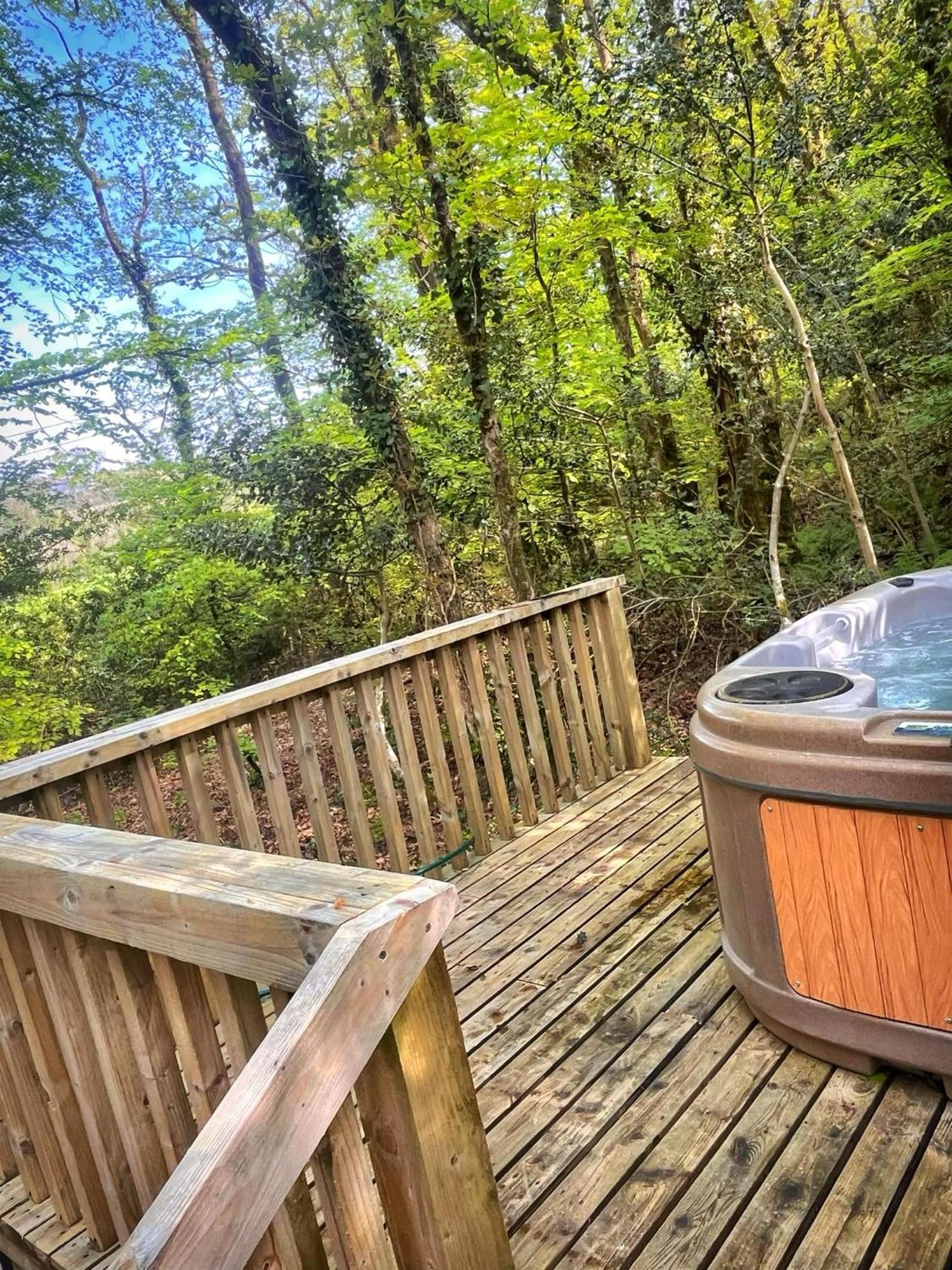 Woodland View -Hot Tub-Tenby-Carmarthen-St Clears Exterior foto